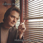 the album cover for Anthony Paule - Hiding in Plain Sight