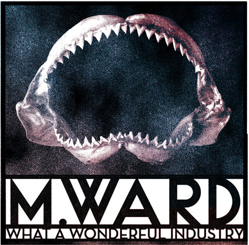the album cover for M. Ward - What a Wonderful Industry