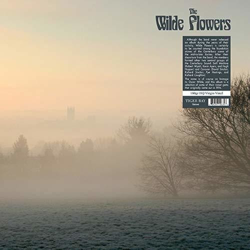 The Wilde Flowers - The Wilde Flowers (Vinyl)
