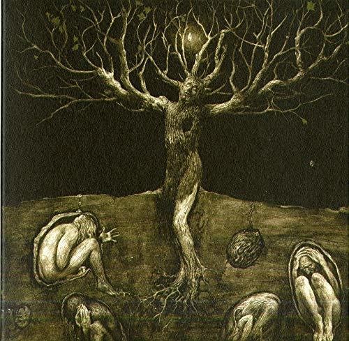 the album cover for All Traps On Earth - Drop Of Light