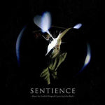 the album cover for Klingwall Fredrik & Black Julia - Sentience