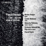 the album cover for Dusapin / Petrinsky - Wenn Du Dem Wind / Aufgang