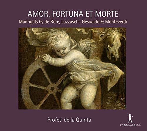 the album cover for Gesualdo / Profeti Della Quinta - Mountains