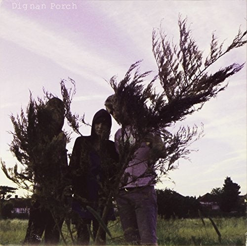 Dignan Porch - On A Ride (Vinyl)