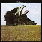 ジェームス - カリブー (ビニールレコード)