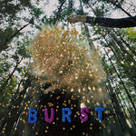 Snarls - Burst (Vinyl)