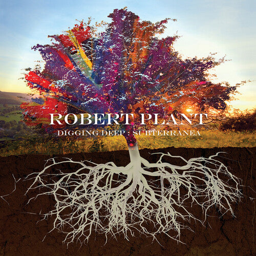 Robert Plant - Excavando en lo profundo: Subterráneo (CD)