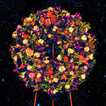 the album cover for Great Peacock - FOREVER WORSE BETTER