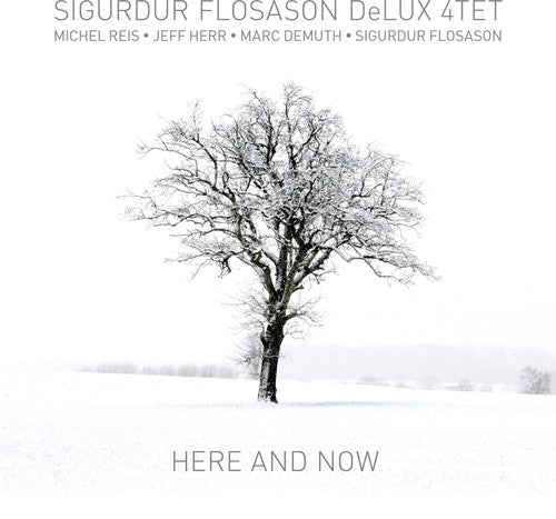 the album cover for Sigurdur Flosason - Here & Now