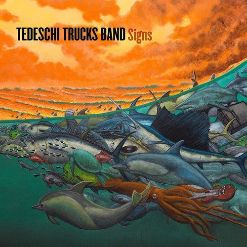 Banda de Camiones Tedeschi - Letreros (Vinilo)