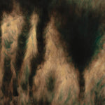 the album cover for William Basinski - Lamentations [2LP]