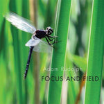 the album cover for Rudolph - Focus & Field