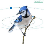 Mekbuda - Convincing Delusional (Vinyl)