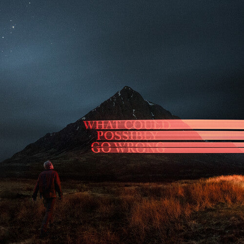 ドミニク・ファイク - What Could Possibly Go Wrong (CD)