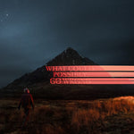 ドミニク・ファイク - What Could Possibly Go Wrong (CD)