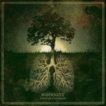 the album cover for Botanist - Photosynthesis