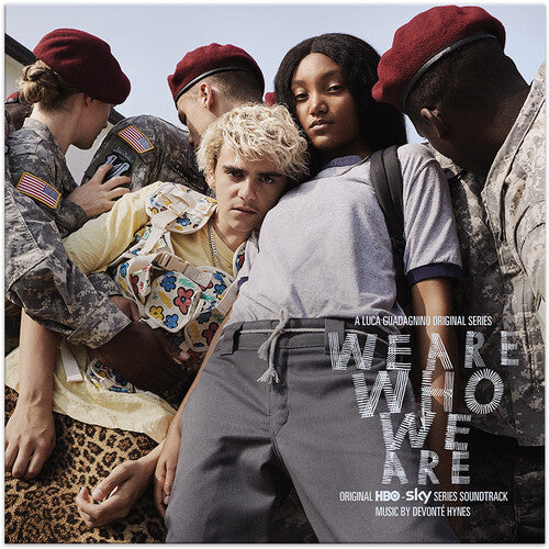 デヴォンテ・ハインズ - We Are Who We Are (オリジナル・シリーズ・サウンドトラック) (レコード)