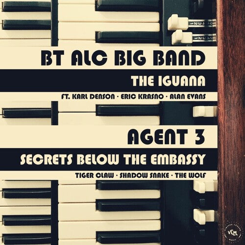 The Iguana / Secrets From Below The Embassy (Vinyl)