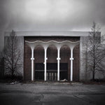 プリンセスは蝶の博物館へ行く - 来てくれてありがとう（ビニールレコード）