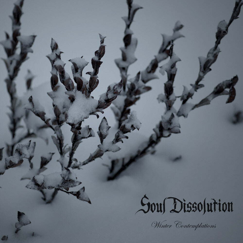 the album cover for Soul Dissolution - Winter Contemplations