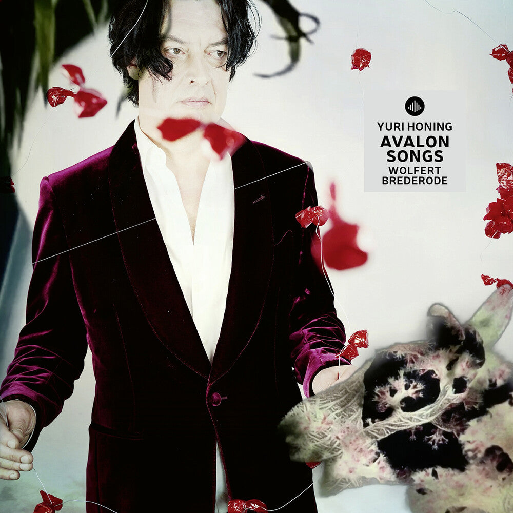 the album cover for Yuri Honing - Avalon Songs