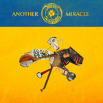 the album cover for Steve N Seagulls - Another Miracle