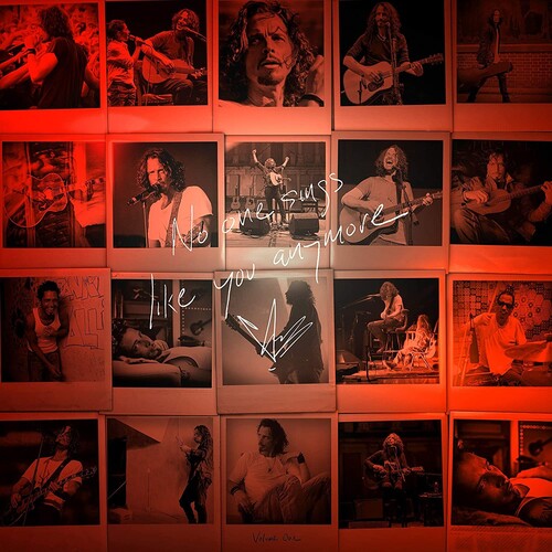 Chris Cornell - No One Sings Like You Anymore (Vinyl)