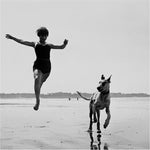 the album cover for Lost Horizons - In Quiet Moments