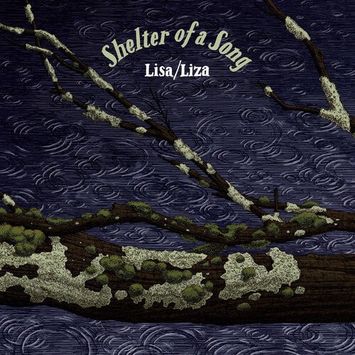 Shelter Of A Song (Vinyl)
