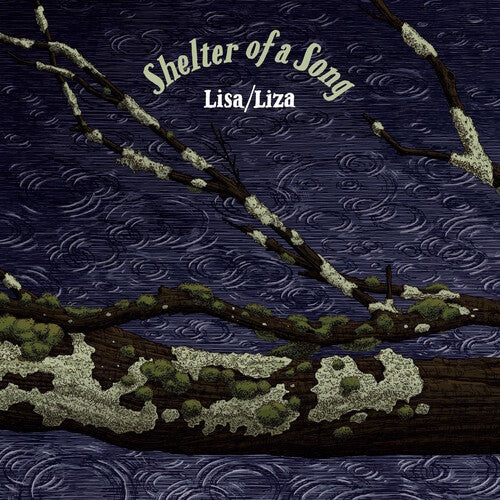 Shelter Of A Song (Vinyl)