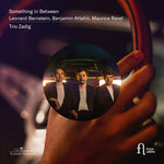 the album cover for Attahir / Zadig Trio - Something in Between