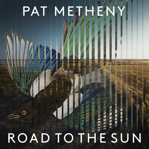 Pat Metheny - Camino al sol (Vinilo)