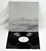Vinterkult & Nordgeist - Nordgeist (Vinyl)