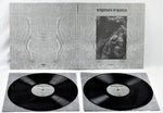 Paysage D'Hiver - Steineiche (レコード)