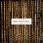 Steve Moore - Beloved Exile (Vinyl)