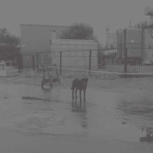 Nivhek - After Its Own Death / Walking In A Spiral Towards The House (Vinyl)