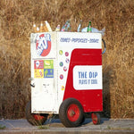 DIP - The Dip Plays It Cool (レコード)
