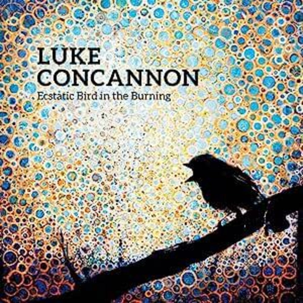 the album cover for Luke Concannon - Ecstatic Bird In The Burning