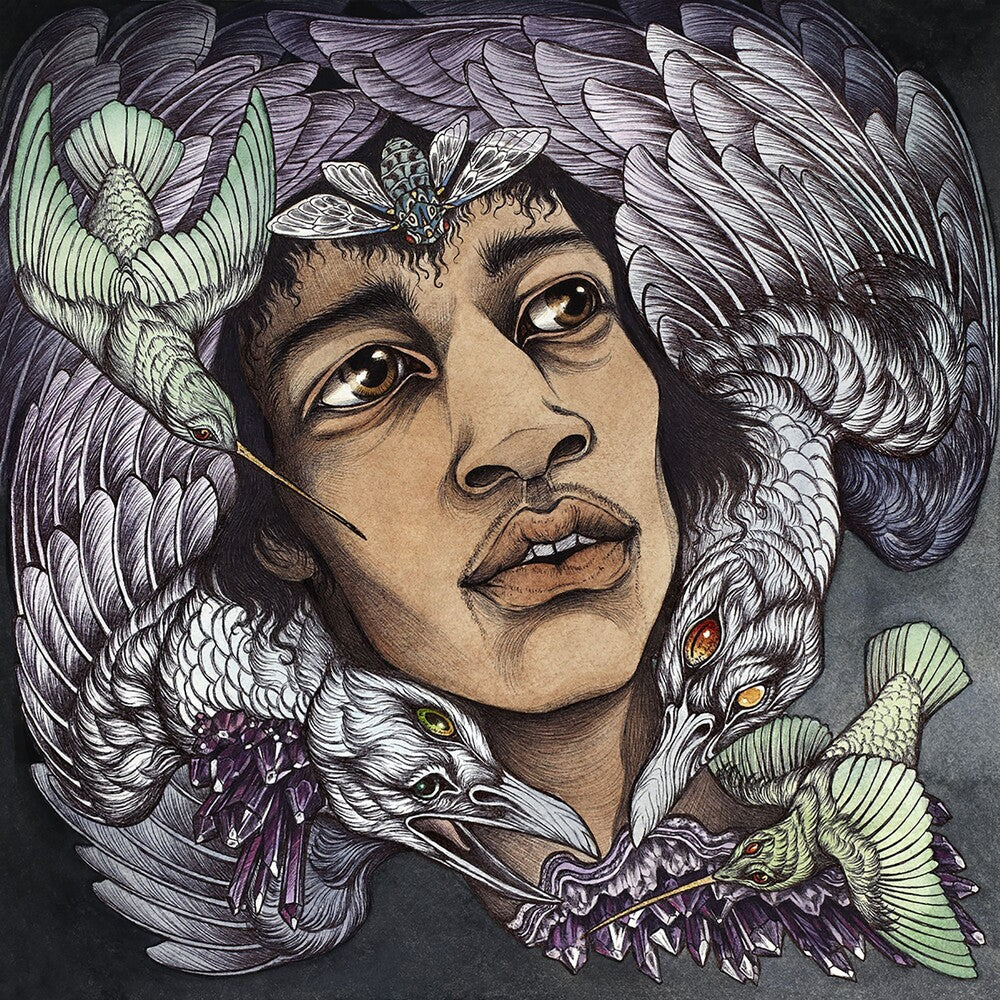 the album cover for Best Of James Marshall Hendrix (Redux) / Various - Best of James Marshall Hendrix (Redux) / Various