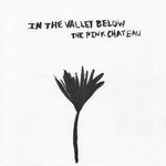 the album cover for In The Valley Below - The Pink Chateau