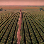 the album cover for Possible Humans - Everybody Split