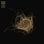 Hiss Golden Messenger - Terms Of Surrender (Vinyl)