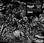 Cryptic Brood & Night Hag - Swollen With Rancid Phlegm (Vinyl)