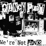 Quincy Punx - We're Not Punks...but We Play Them On Tv (Vinyl)