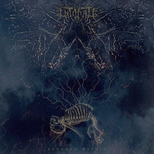 Intonate - Severed WIthin (Vinyl)