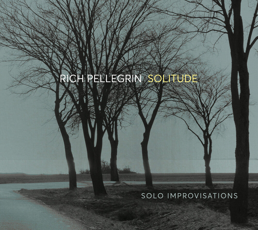 the album cover for Rich Pellegrin - Solitude: Solo Improvisations