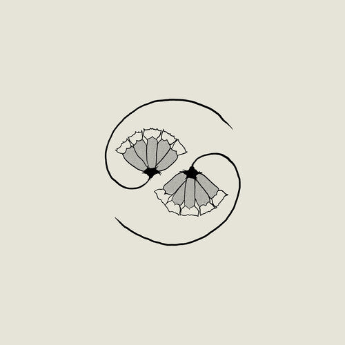 Godspeed You Black Emperor - G_d's Pee AT STATE'S END! (CD)