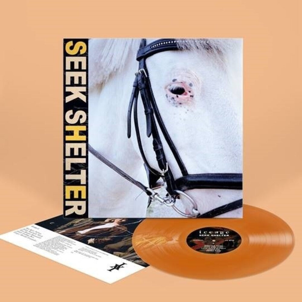 the album cover for Iceage - Seek Shelter [Indie Exclusive Limited Edition Orange LP]