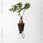 Caroline Shaw &amp; So Percussion - Deja que la tierra toque su parte simple (CD)