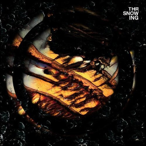 Throwing Snow - Dragons (Vinyl)